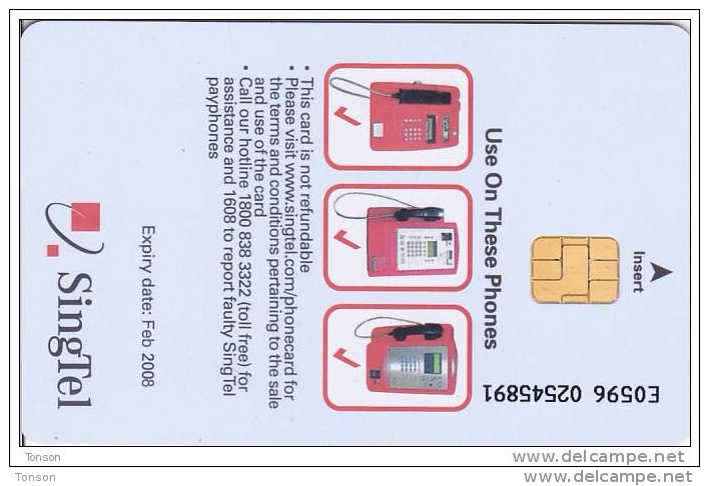 Parrot On Singapore Chipcard, 2 Scans. - Papegaaien & Parkieten