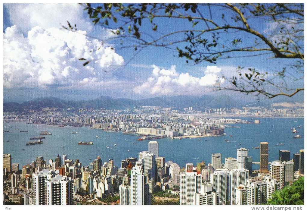 Hong Kong And Kowloon From The Peak - China (Hongkong)