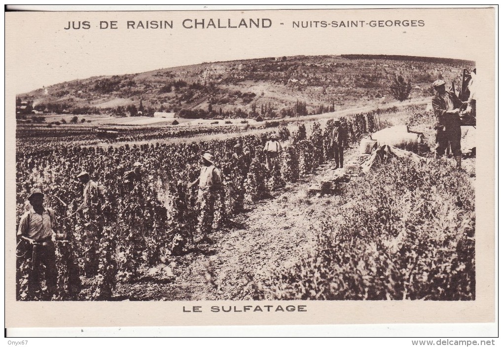 NUITS-SAINT-GEORGES (Côte D´Or) Jus Raisin CHALLAND Vigne-Vin-Vignoble-Le Sulfatage-VOIR 2 SCANS - Nuits Saint Georges