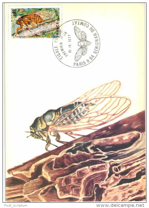 Thème - Animaux - Cigale Rouge  - Carte Philatélique Premier Jour - - Insects