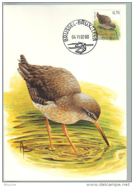 BUZIN / CARTE MAX / COB 3137 - 1985-.. Oiseaux (Buzin)