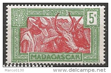 MADAGASCAR N° 164 NEUF - Neufs