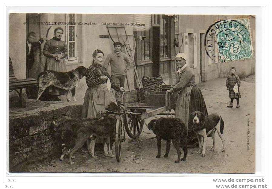 VIERVILLES-SUR-MER -ATTELAGE DE CHIENS DE LA  MARCHANDE POISSON - TOP COLLECTION - Autres & Non Classés