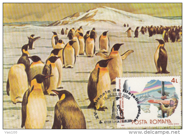 PENGUINS, EXPEDITION, CM, MAXICARD, CARTES MAXIMUM, 2004, ROMANIA - Fauna Antártica