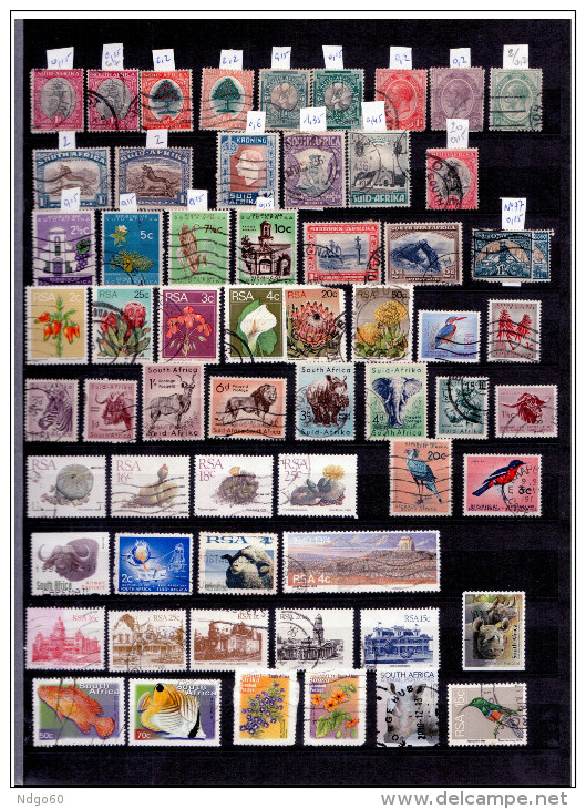 * Lot De + De 155 Timbres D'Afrique Du Sud (4 Scans) - Collections, Lots & Series