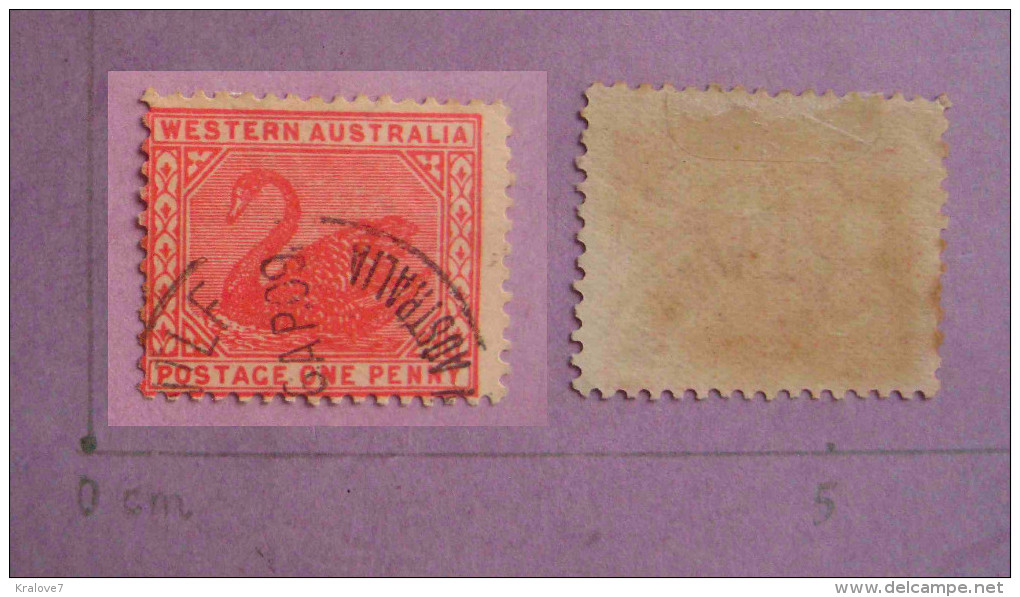 AUSTRALIE 1905 OBLITERE CIGNE ROUGE 1p WESTERN AUSTRALIA USED RED SWAN 1p - Usati