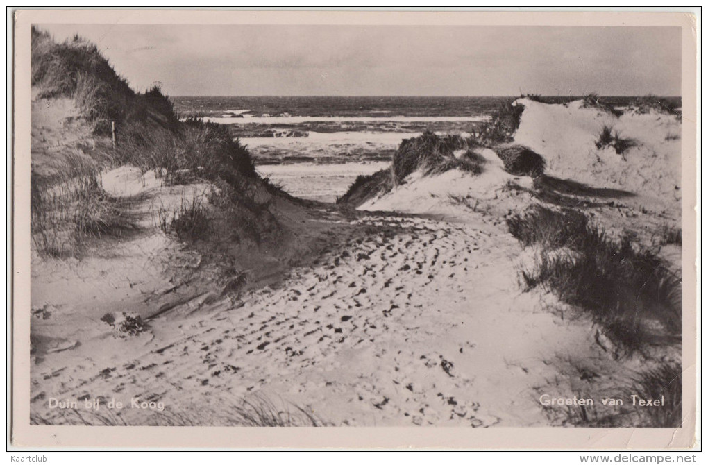 Dicht Bij De Koog - Groeten  Van Texel (1955) - Holland/Nederland  (2 Scans) - Texel