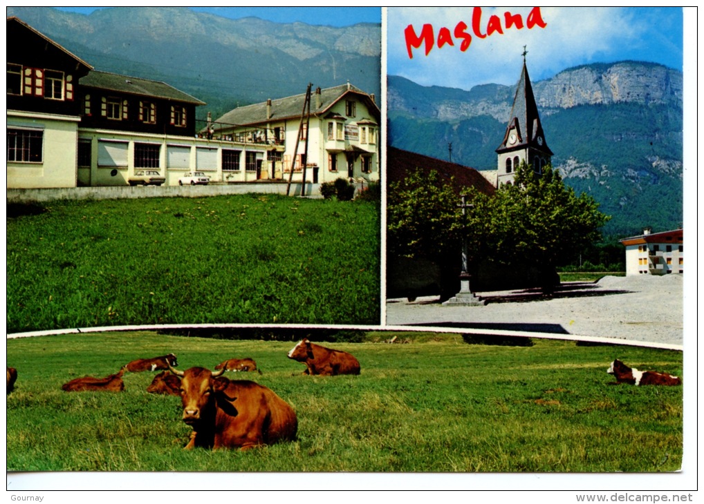 Magland Hameau Gravin Colonie De Vacances Les Ailes Blanches (76 Gonfreville L'orcher) Vaches Alpage Multivues N°663 - Magland