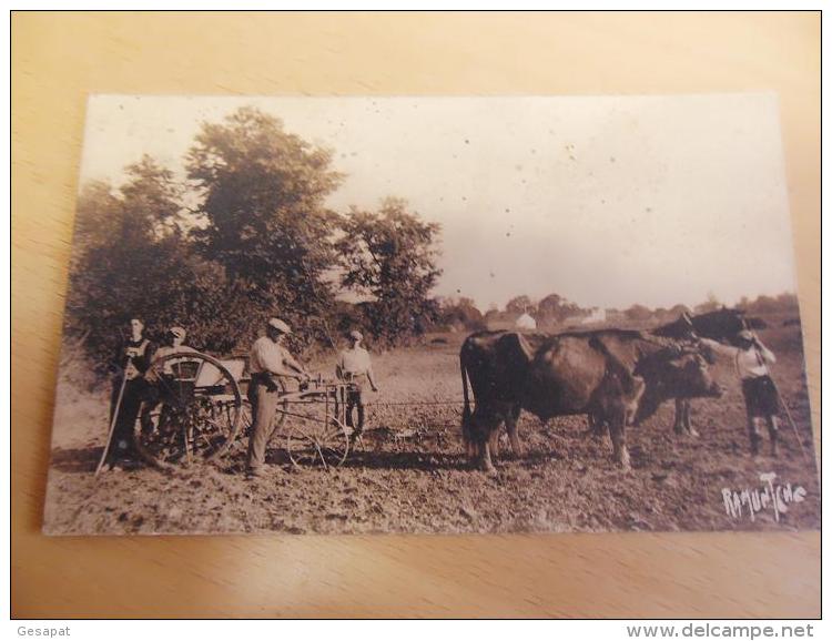 17 - SAINTES  ECOLE AGRICULTURE SEMAILLES  ATTELAGE BOEUFS  PAYSANS - Saintes