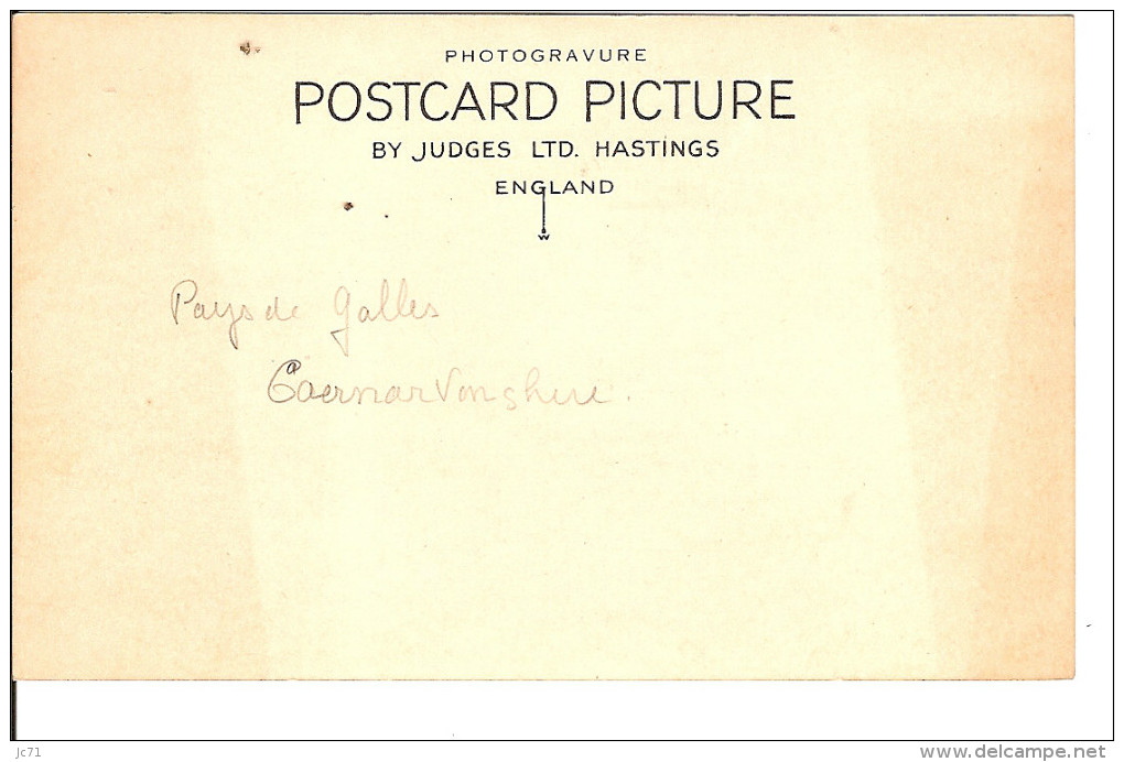 Pays De Galles- Bettws-y-coed - Belle Carte - - Caernarvonshire