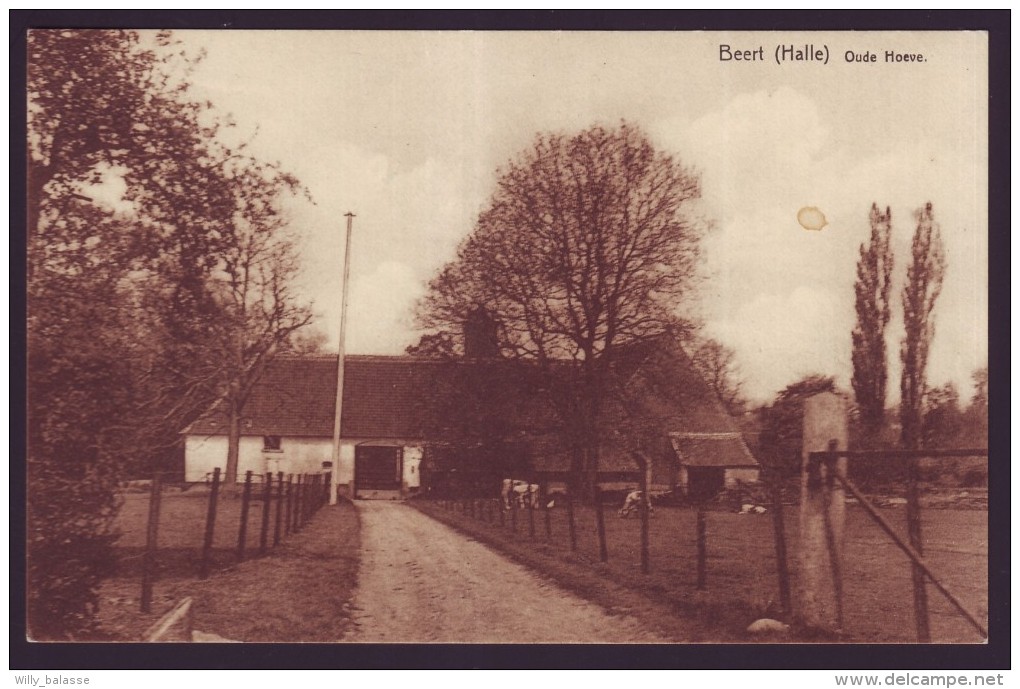 Beert - Halle - Oude Hoeve // - Pepingen