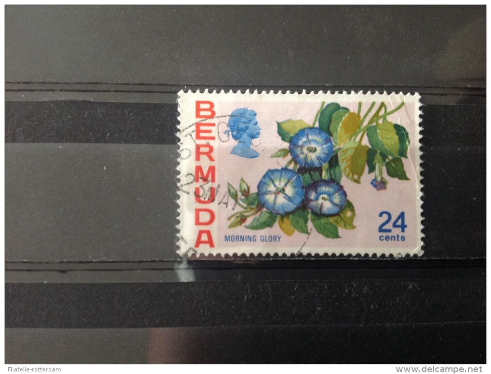 Bermuda - Bloemen (24) 1970 - Bermuda