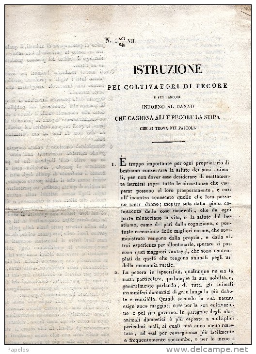 1849 ISTRUZIONE ALLEVATORI DI PECORE - Documenti Storici