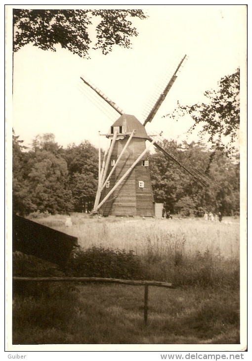 Genk Bokrijk Limbourg Molen/moulin Carte Photo Gevaert - Genk