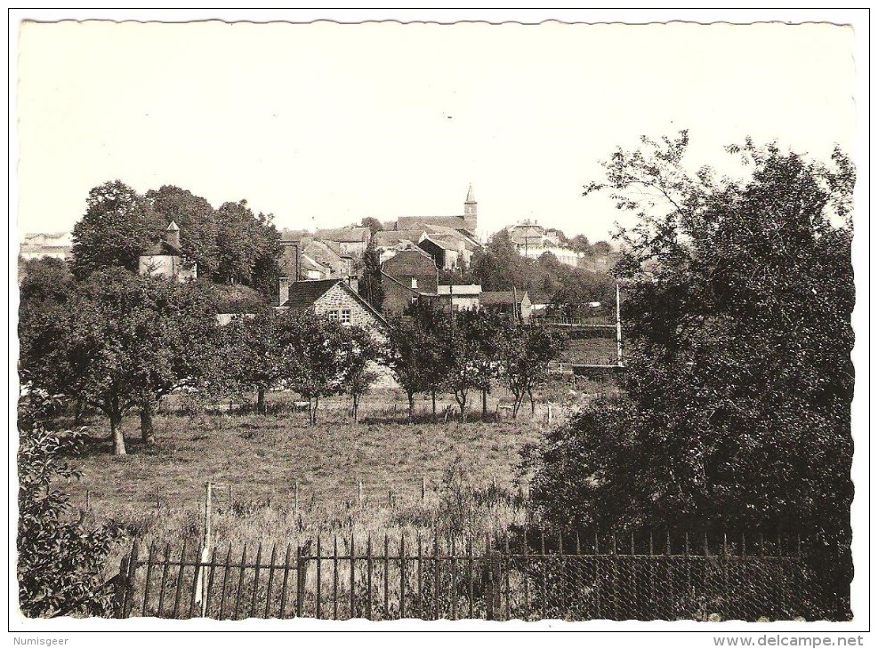 BANDE --  Panorama, à Gauche Chapelle N. D. De La Salette ( Cp: Photo ) - Nassogne