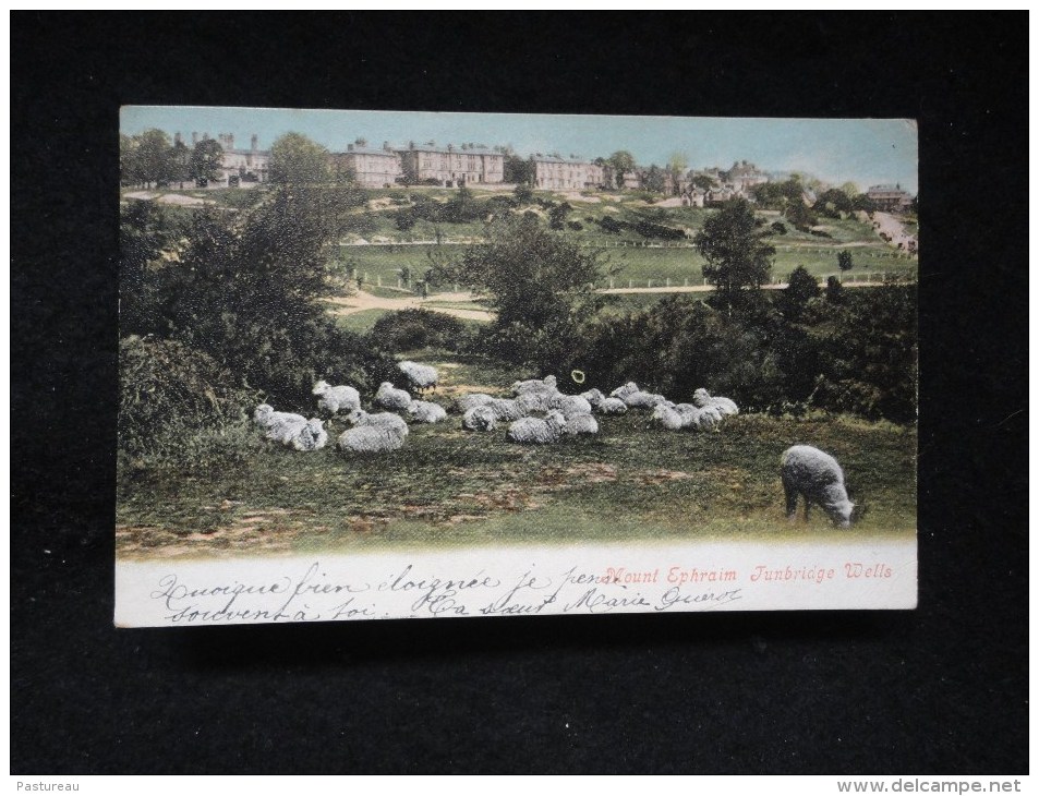 Mount Ephraim ( 1900 - 1910 ) - Southampton