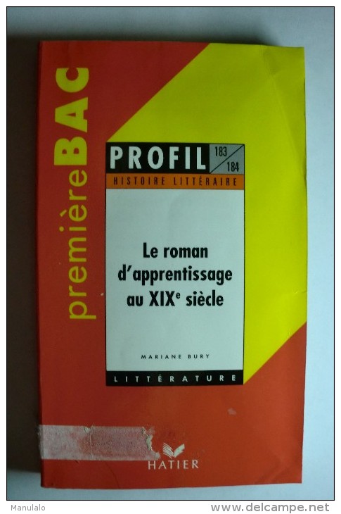 Livre Hatier - Le Roman D'apprentissage Au XIX Siècle - Premiere Bac, Profil Histoire Littéraire - Mariane Bury - 18 Ans Et Plus
