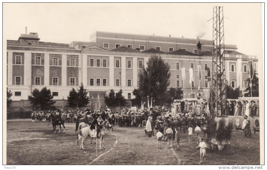 FOLIGNO  /   Giostra Della Quintana - Edizione Del 1950  _  Cartolina  Ed.  Privata - Foligno