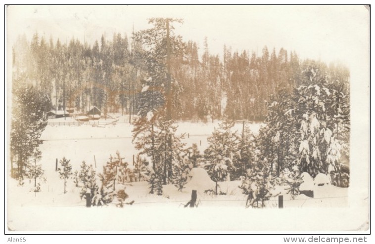 Newport WA Washington, Snow Scene, Mountain Farm, C1910s Vintage Real Photo Postcard - Other & Unclassified