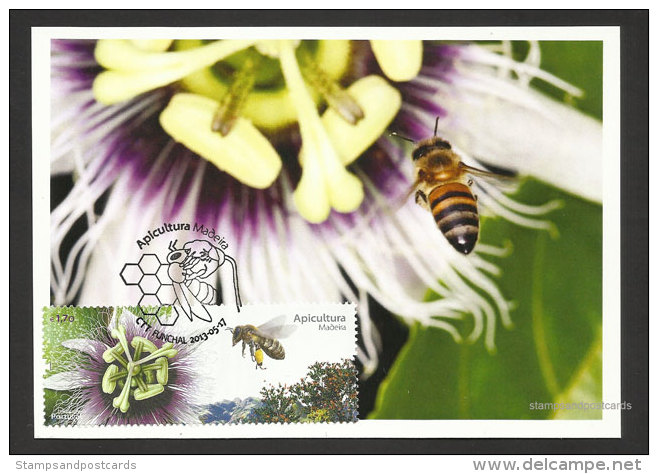 Portugal Madère Apiculture Abeille Abeilles Miel Carte Maximum 2013 Madeira Beekeeping Bee Bees Honey Maxicard - Maximum Cards & Covers