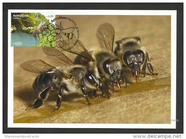 Portugal Madère Apiculture Abeille Abeilles Eau Miel Carte Maximum 2013 Madeira Beekeeping Bee Bees Water Honey Maxicard - Maximum Cards & Covers