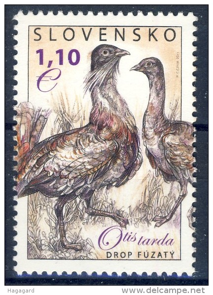 ##Slovakia 2011. Birds. Michel 669. MNH(**) - Ungebraucht