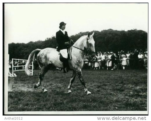 Pressefoto Muskat Motiv Pferd Dressur-Reiten Schimmel Aumühle Aumühle 1957 (3) Cheval Horse - Pferde