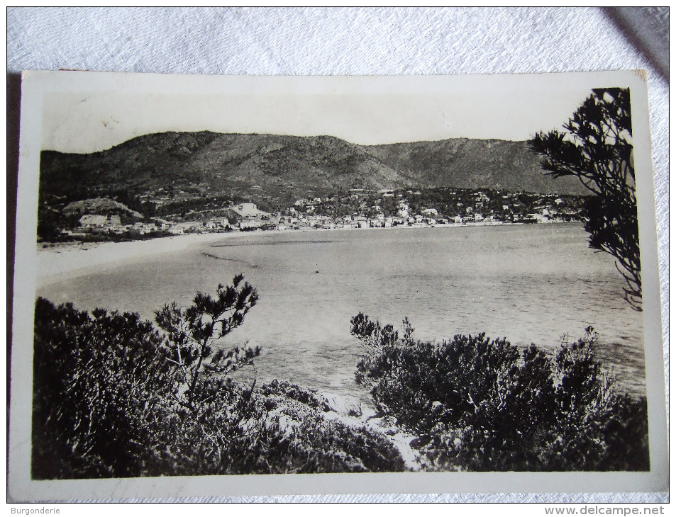 LE LAVANDOU   / JOLI LOT DE 22 CARTES  / TOUTES LES PHOTOS