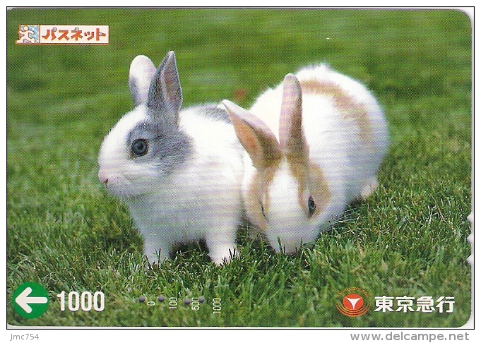 Télécarte Japonaise. Animaux. Lapin - Kaninchen