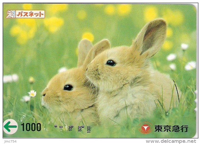 Télécarte Japonaise. Animaux. Lapin - Rabbits