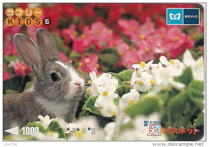 Télécarte Japonaise. Animaux. Lapin - Conigli