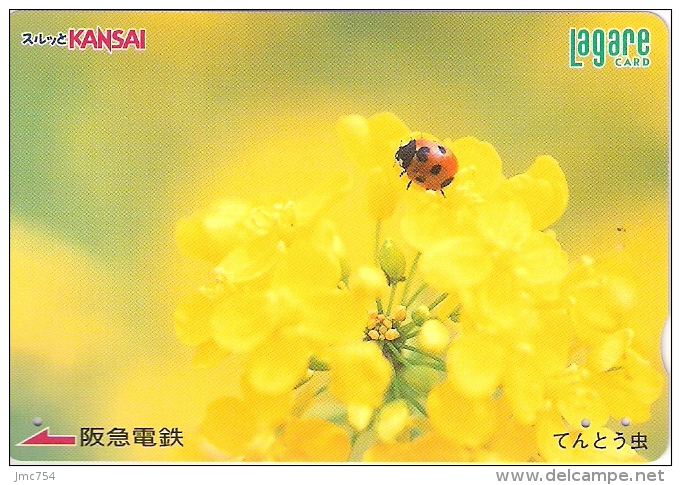 Télécarte Japonaise. Animaux.  Coccinelle - Coccinelles