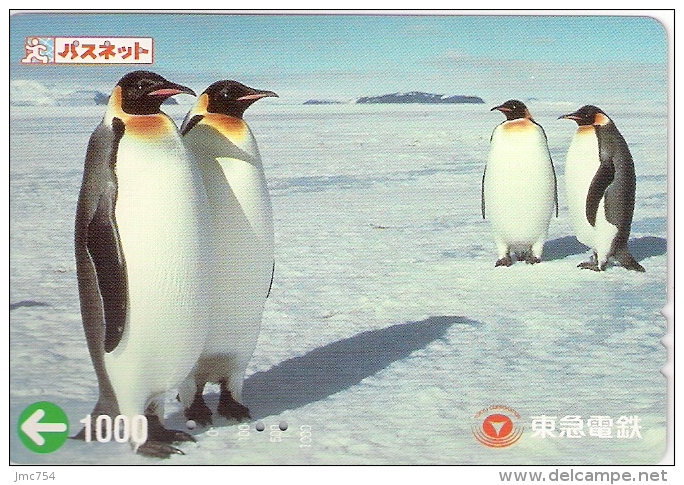 Télécarte Japonaise. Animaux.  Pingouin Et Manchot - Pinguins