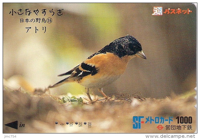 Télécarte Japonaise. Animaux.  Oiseaux. Passereaux - Pájaros Cantores (Passeri)