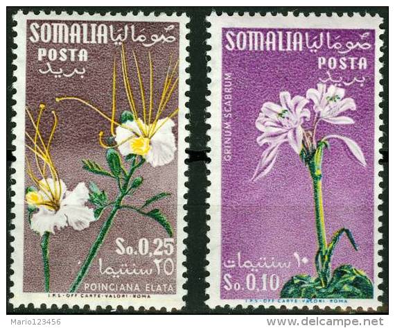 SOMALIA, AMMINISTRAZIONE FIDUCIARIA ITALIANA, (A.F.I.S.), FLORA, FIORI, 1959, NUOVI (MNH**), YT 248A,248B, UN 40,42 - Somalia (AFIS)