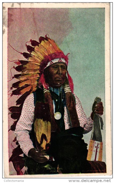 ETNISCH    3 PC    Chief High Horse   Fighting Wolf  Minnehaha  White Tail Ponca   Not Afraid Of Pawnee - Indiens D'Amérique Du Nord