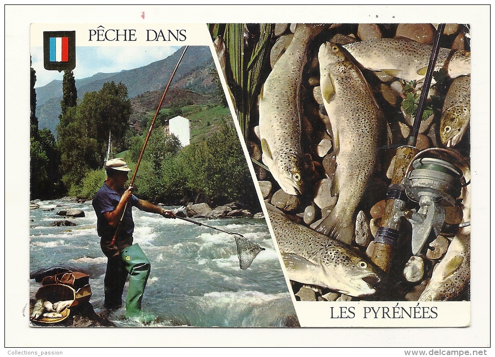 Cp, Sport, Pêche Dans Les Pyrénées, Multi-Vues, écrite - Pesca