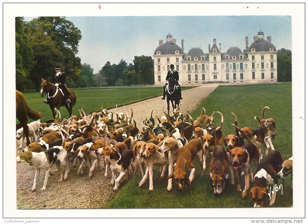 Cp, Chasse à Courre, Château De Cheverny (41) - Hunting