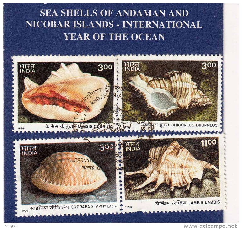 Stamped Information On Sea Shells, Shell, Andaman Nicobar Islands, Marine Ecology Environment, India 1998 - Coneshells