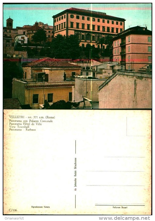 34232)velletri - Panorama Con Palazzo Comunale - Velletri