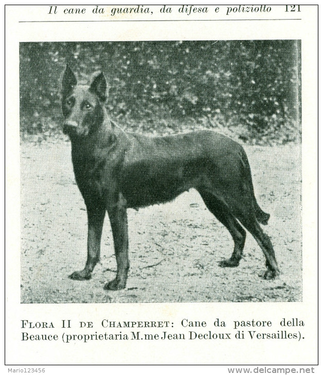 MANUALE HOEPLI, CANE DA GUARDIA, G. COUPLET, SECONDA EDIZIONE, 1939