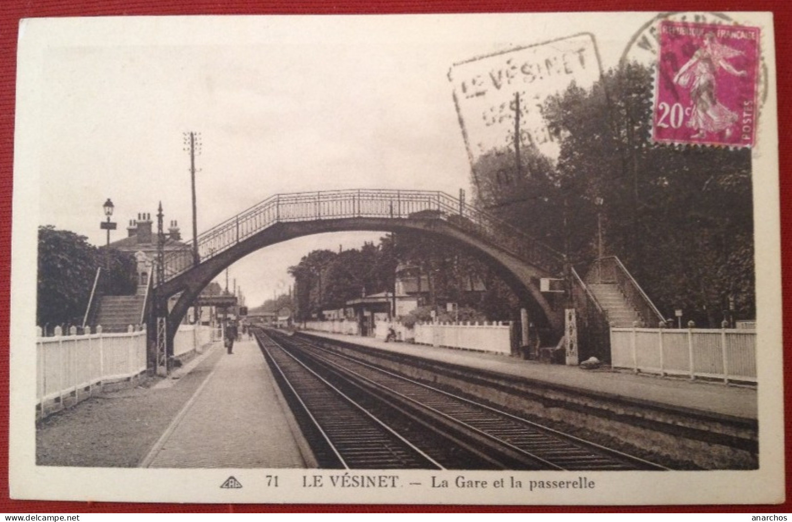 LE VESINET  La Gare Et La Passerelle (RARE) Daguin - Le Vésinet