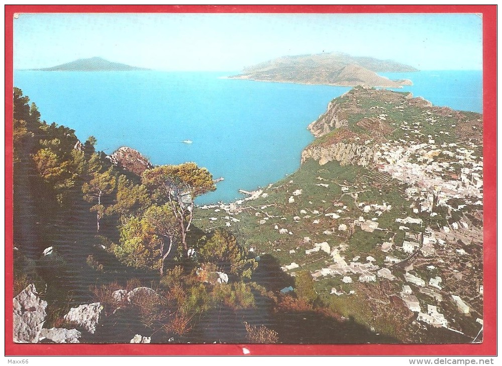 CARTOLINA VG ITALIA - CAPRI (NA) - Panorama - 10 X 15 - ANNULLO CAPRI 1960 - Napoli (Naples)