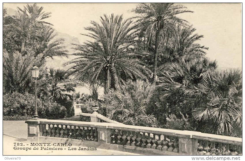 MONACO.  MONTE-CARLO - Groupe De Palmiers - Les Jardins - 2 Scans  (VINTAGE POSTCARD) - Jardin Exotique