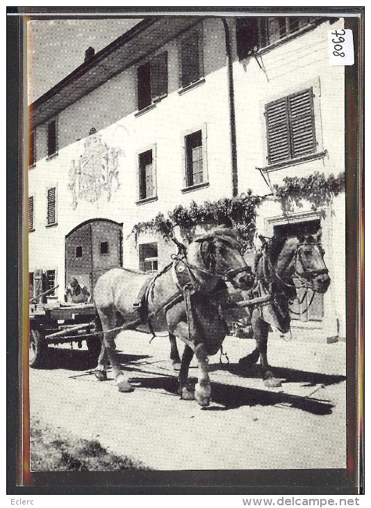 GRÖSSE 10x15 - KLETTGAU - BAUERNHOF - ATTELAGE - TB - Andere & Zonder Classificatie