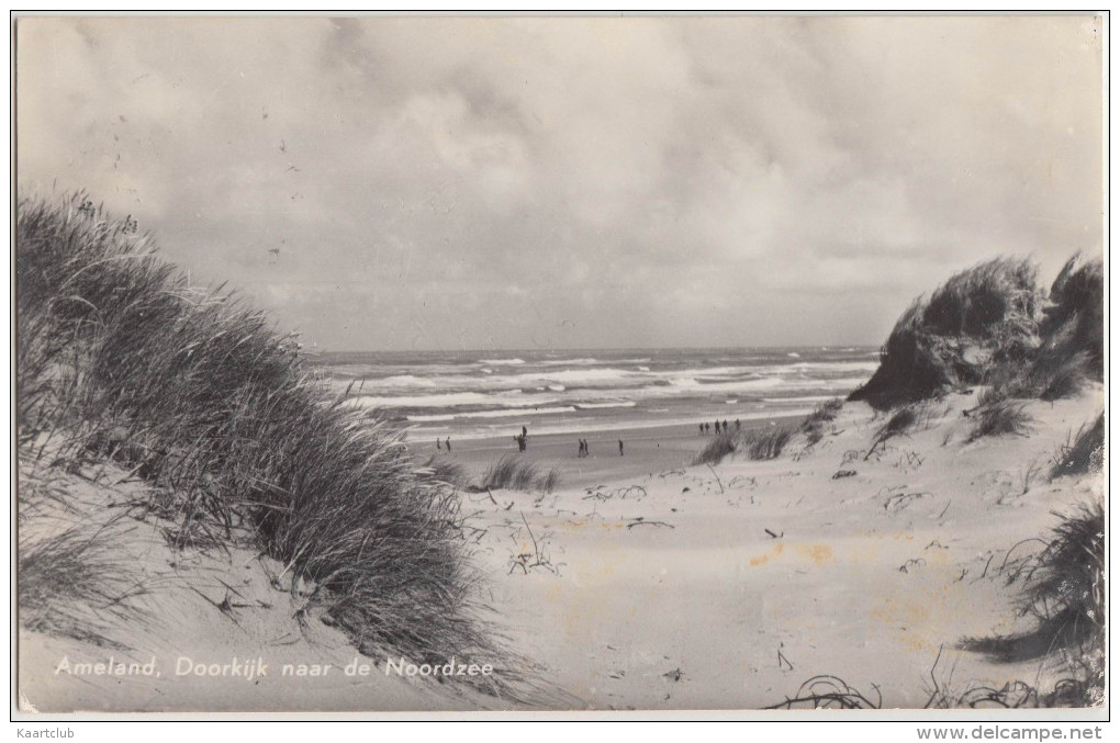 Ameland - Doorkijk Naar De Noordzee (1972) - Holland/Nederland  (2 Scans) - Ameland