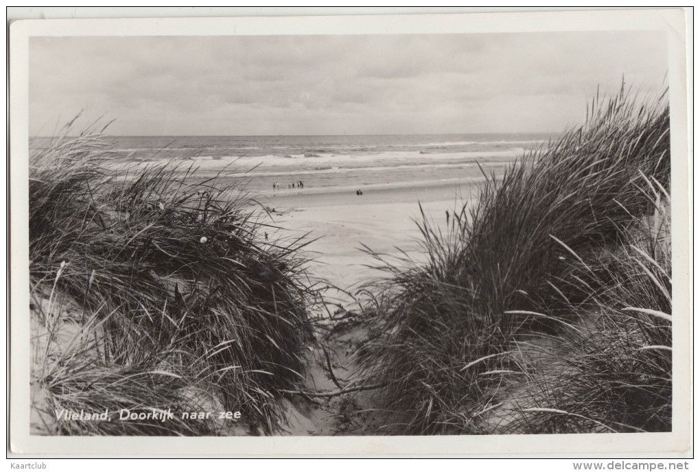 Vlieland - Doorkijk Naar Zee (+/- 1959) - Holland/Nederland  (2 Scans) - Vlieland