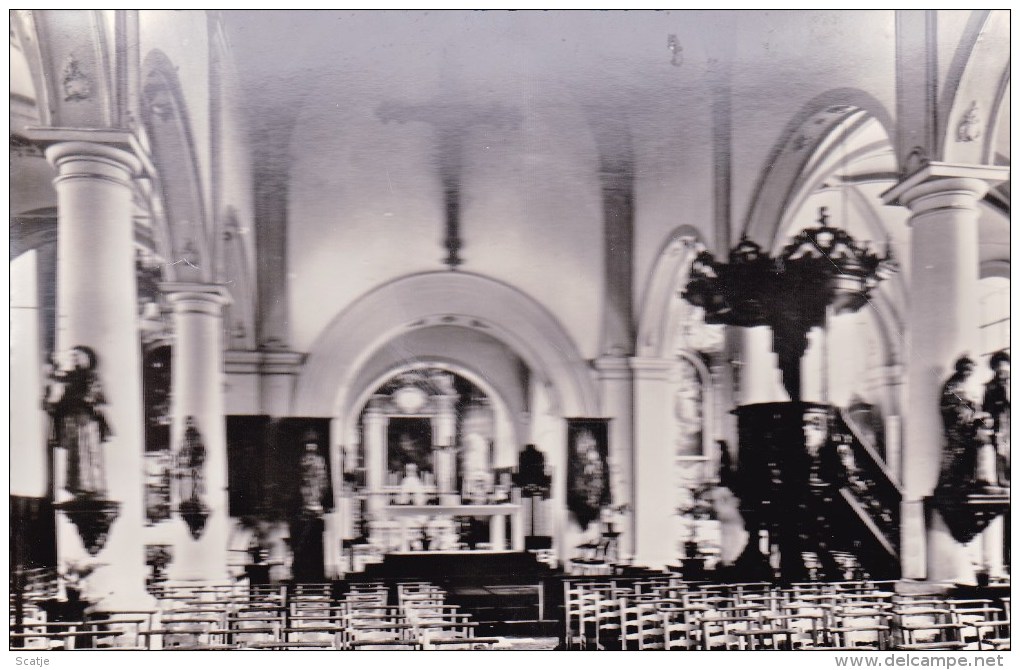 Ruppelmonde Aan De Schelde;  O.L.Vrouwkerk,   Interieur - Kruibeke