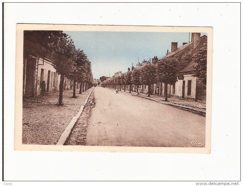 NEUILLÉ-PONT-PIERRE. - Avenue Louis-Proust. - Neuillé-Pont-Pierre