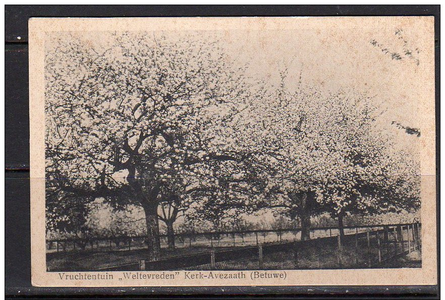 Vruchtentuin ‘Weltevreden’ Kerk-Avezaath (Betuwe) (div114) - Autres & Non Classés